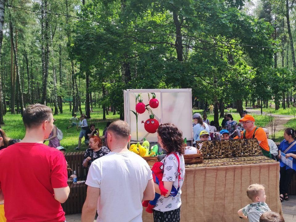 Балашихинский парк «Пехорка» снова лидирует по посещаемости в Подмосковье