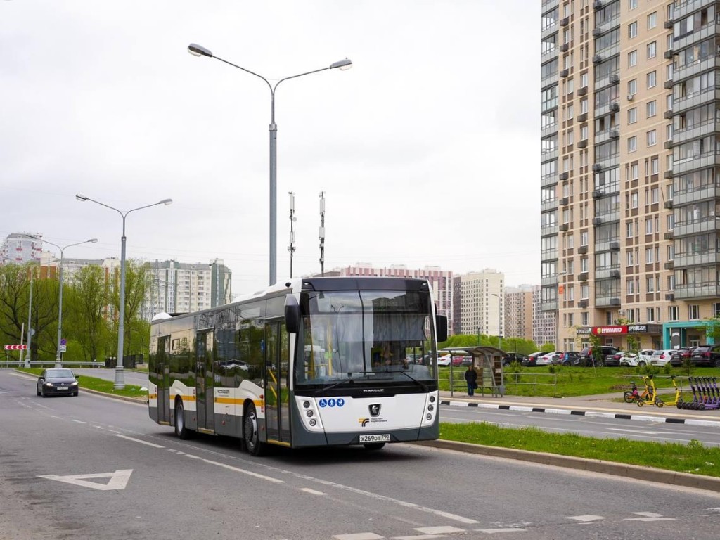 Все в парк: как доехать до Сестрорецкого на автобусе из разных уголков Клина