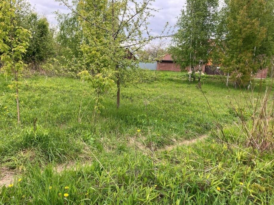 Рекордную сумму заплатит победитель аукциона в Балашихе за аренду десяти соток земли