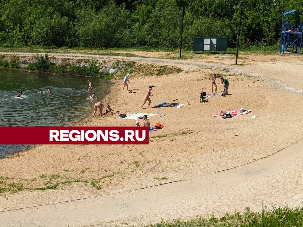 Женщина едва не утонула в пруду около МСЧ-8 в Серпухове | REGIONS.RU /  Серпухов