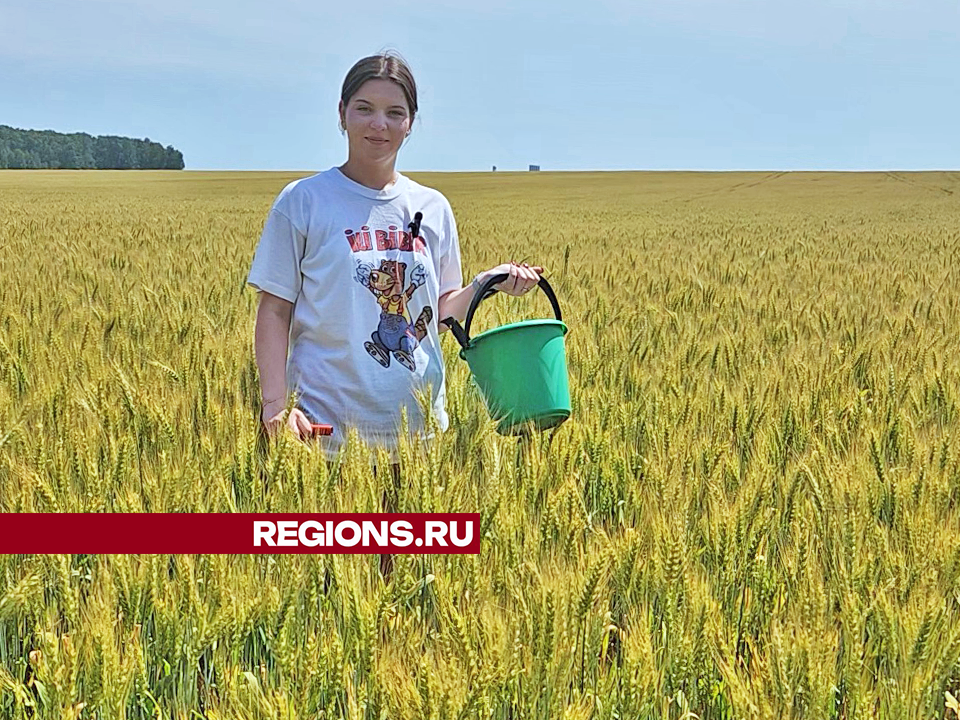 Школьница из Ступина проходит практику на полях крупнейшего сельхозпредприятия