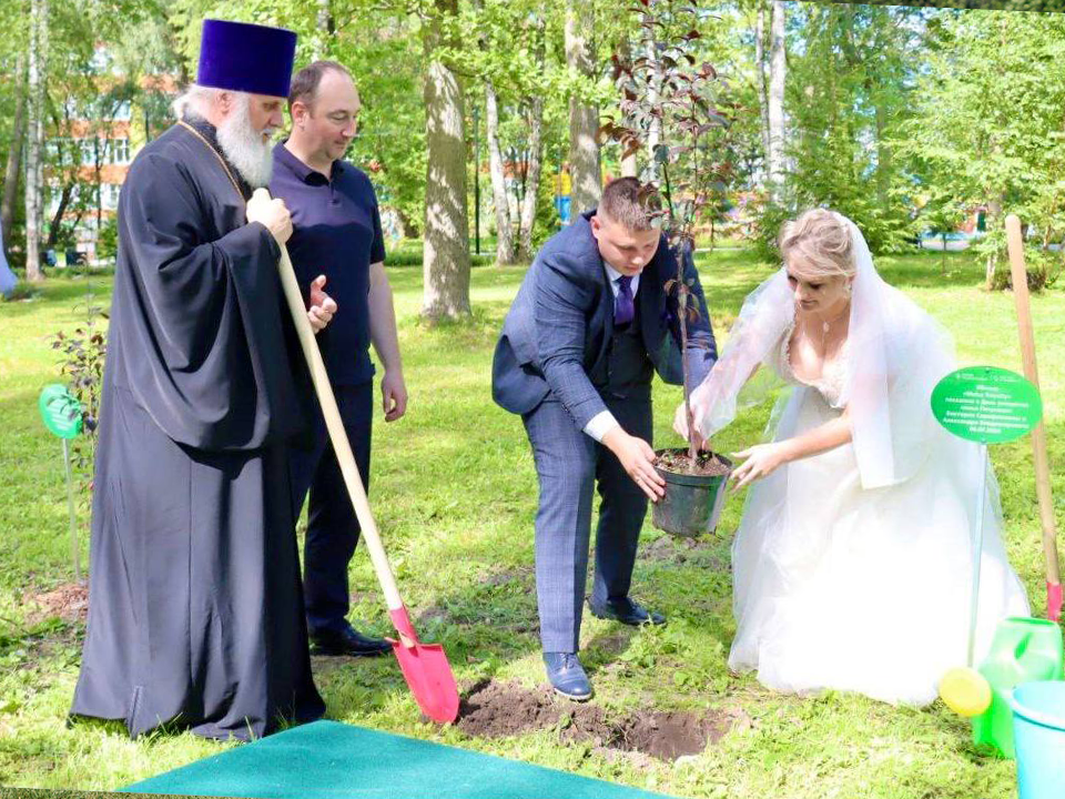 Свое дерево в парке Ступина посадили молодожены накануне Дня семьи, любви и верности