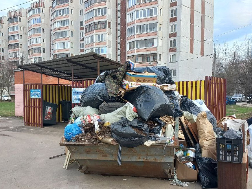 Чаще всего электростальцы жалуются на мусор и высокую траву во дворах