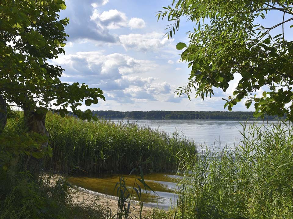 В Шатуре спасли из воды мужчину, который уплыл далеко от берега и заблудился