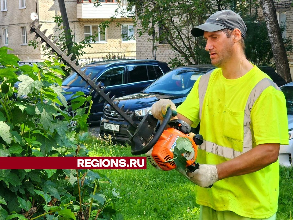 Разросшийся кустарник обрезают во дворах на улице Свердлова в Рошале