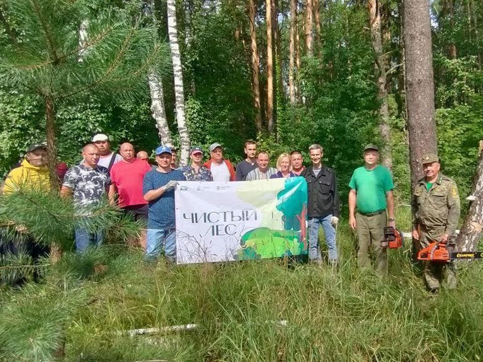 Участники акции «Чистый лес» вблизи Луховиц убрали сухостой, валежник и мусор