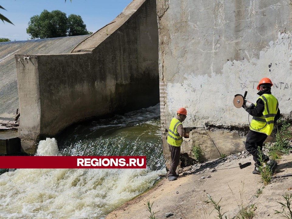 Рыбу на плотине реки Нары в Серпухове защитят сеткой