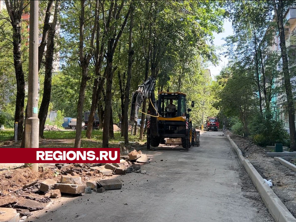 В микрорайоне Сходня обновят асфальт на улице Мичурина