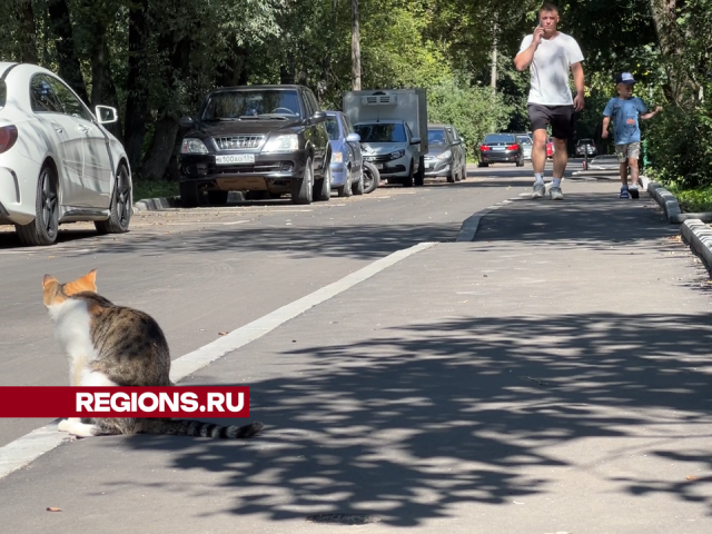 Специалисты обновили асфальт на улице Северной в Химках