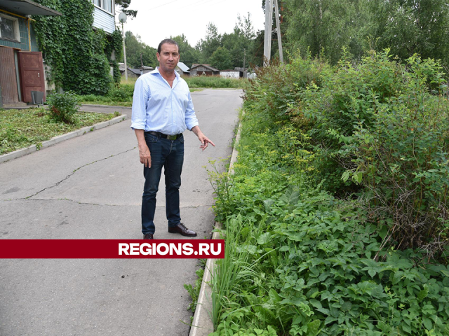 Забытые коммунальщиками заросли в деревне Введенское скосят по просьбе жителей