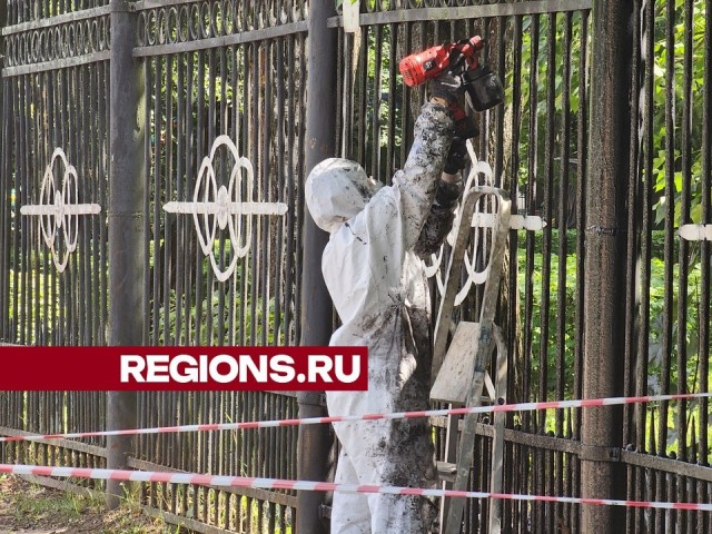 В Центральном городском парке Королева обновляют старую краску на ограждениях