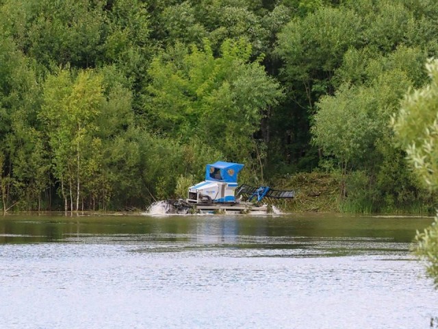 В городском округе очистили Лаговский пруд и прилегающую к нему территорию