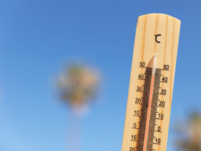 Синоптики прогнозируют, что аномальная жара побьет вековой рекорд на этой неделе