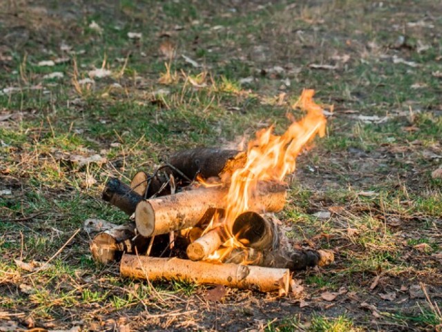 Как вести себя в лесу в пожароопасный сезон