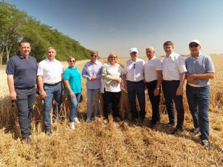 Новый рекорд по урожайности озимой пшеницы установили в компании «Щелково Агрохим»