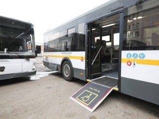 Новые современные автобусы вышли на краснознаменские маршруты
