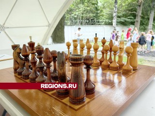 Турнир, эстафету и мастер-класс по оригами в Загорянском посвятили Дню шахмат
