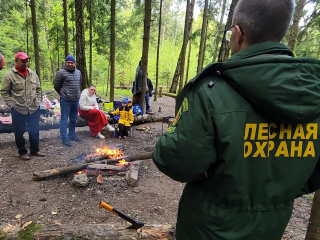 Штрафы за шашлыки в неположенных местах продолжают поступать в бюджет