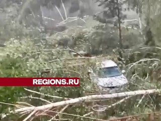 Апокалипсис в Орехово-Зуеве: в результате урагана жители остались без света, теплиц и автомобилей