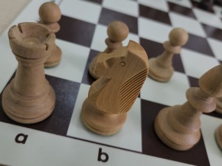 Первыми ходят белые: 21 июля в парке Королева стартует этап Кубка Сергея Карякина по шахматам