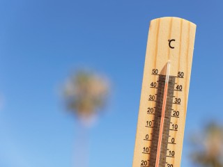Жара в Балашихе бьет новые температурные рекорды