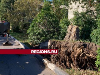 В Жуковском по заявкам жителей убирают поваленные ураганом деревья