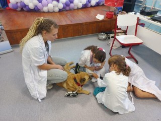 Собака-терапевт из приюта для животных стала участником урока доброты в Привокзальной школе в Волоколамске