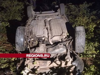 В Орехово-Зуеве из-за съезда в кювет автомобиля пострадали два человека