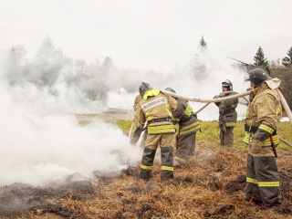 Жителям напомнили, что нельзя жарить шашлыки в лесах Ступина в пожароопасный период