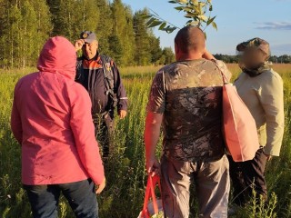 Дмитровские спасатели вывели из леса двух женщин, которые заблудились во время сбора черники