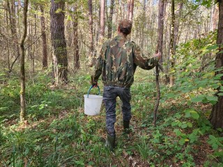 Заряженный телефон, яркая одежда и свисток: что может пригодится грибнику в лесу