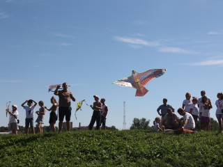 Сотни воздушных змеев запустили в небо на фестивале в Волоколамске