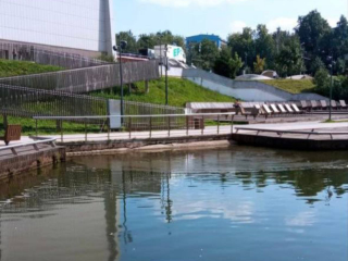 Тимоховский пруд в Видном почистили