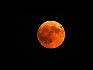 «Кровавая Луна»: жители Электрогорска стали свидетелями редкого природного явления