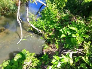 Аварийная бригада экстренно остановила излив канализации в реку Пажа