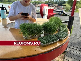 Точку по продаже микрозелени открыл в Солнечногорске 13-летний предприниматель