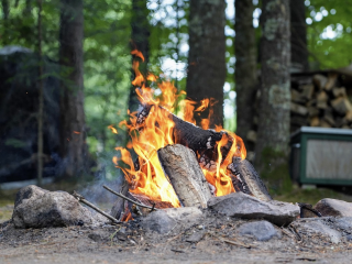 Более 70 нарушителей противопожарного режима выявили в лесах Подольска