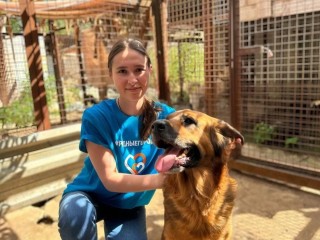 Волонтеры «Газпромнефть-СМ» г.о. Фрязино помогли приюту для животных