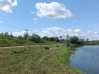 Территорию вокруг пруда в Новолотошине окосили по просьбе жителей