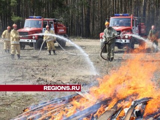 В Луховицах чаще всего нарушают правила противопожарной безопасности в лесу