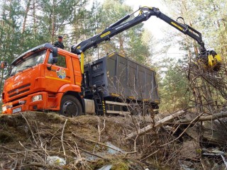 Почти 600 кубометров мусора вывезли из лесов Пушкинского округа с начала сезона