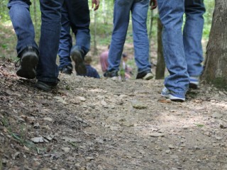 В лесах Дубны потерялся полный мужчина с ведром в руках