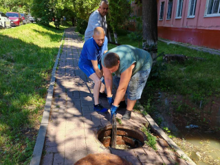 Коммунальщики устранили засор, из-за которого на улице Мира в Чехове образовалось озеро  из нечистот