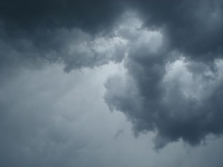 Дождливая погода ожидается на рабочей неделе в Лотошине