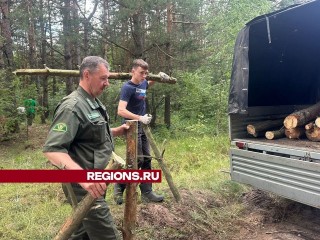 Общественные активисты провели в Луховицах субботник в рамках проекта «Чистый лес»