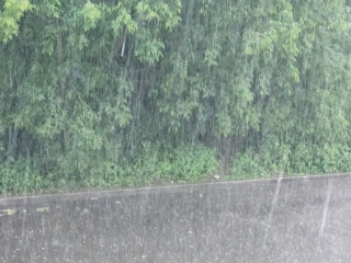 Аномальную жару в Люберцах победит дождь и сильный ветер