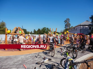 Новую детскую площадку открыли на улице Гагарина в Дедовске