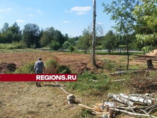 Вместо травмпункта в Краснознаменске построят волейбольную площадку