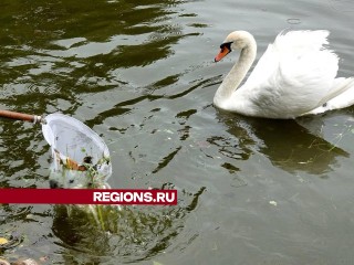Активисты очистили Белый пруд и Келарскую набережную от мусора