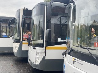 «Вежливые, тактичные, знают свою машину»: профессионалы своего дела работают на автобусных линиях в Пушкино